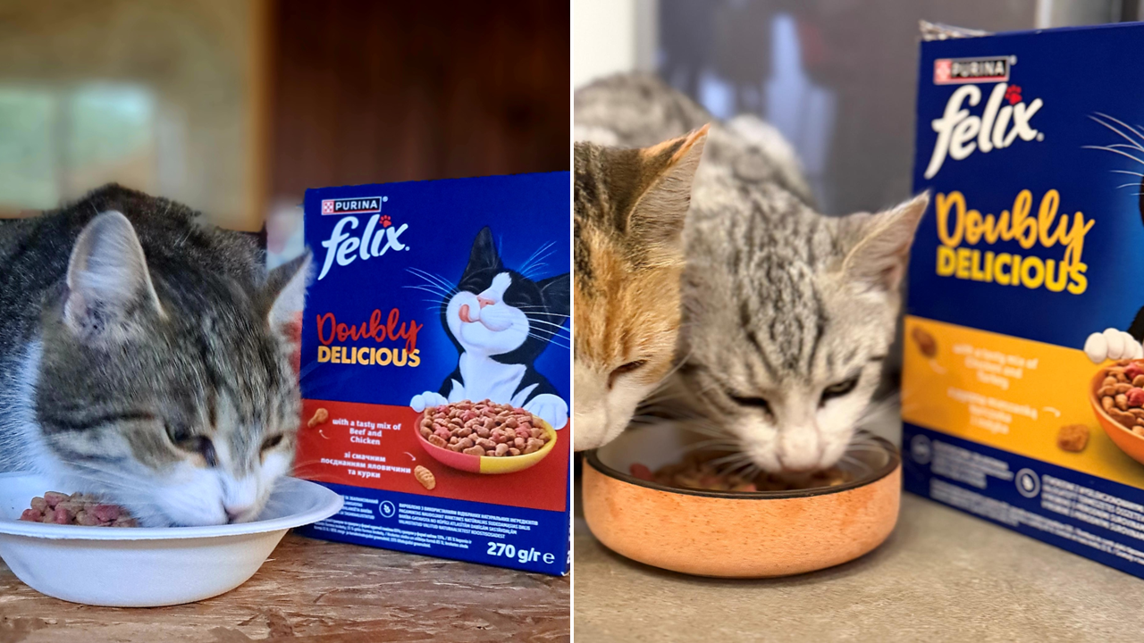 FELIX Doubly Delicious