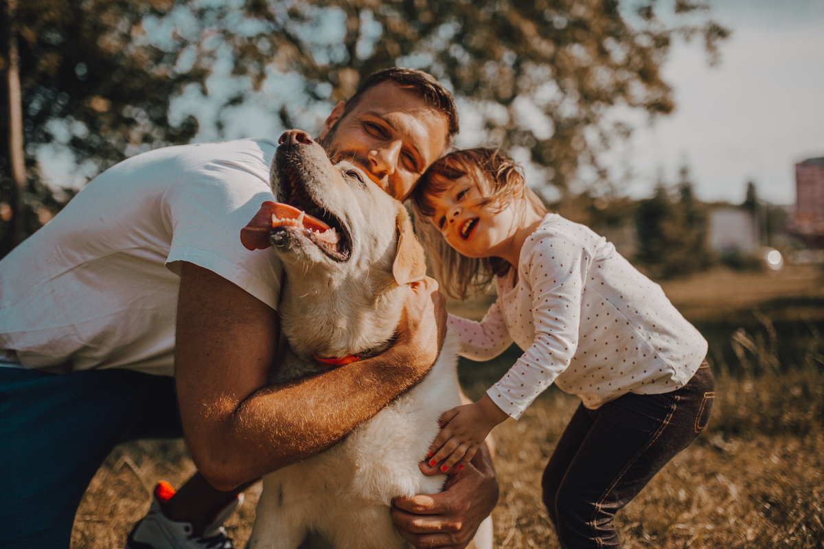 frontpro_projektinformációk