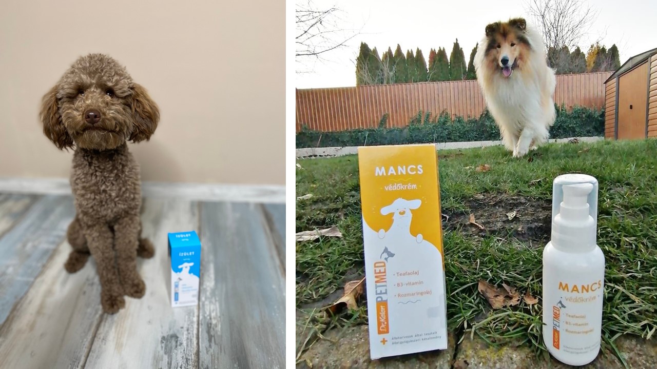  Közös projektünk legszebb pillanatai.