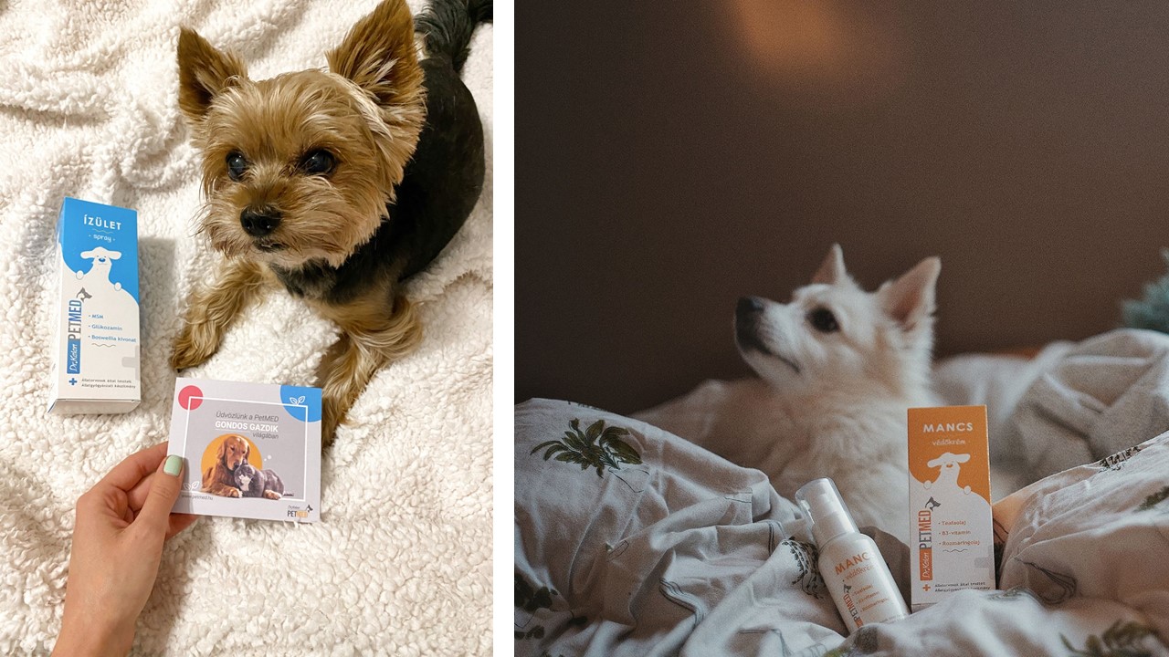  Vigyük hírét a PetMED termékeknek!