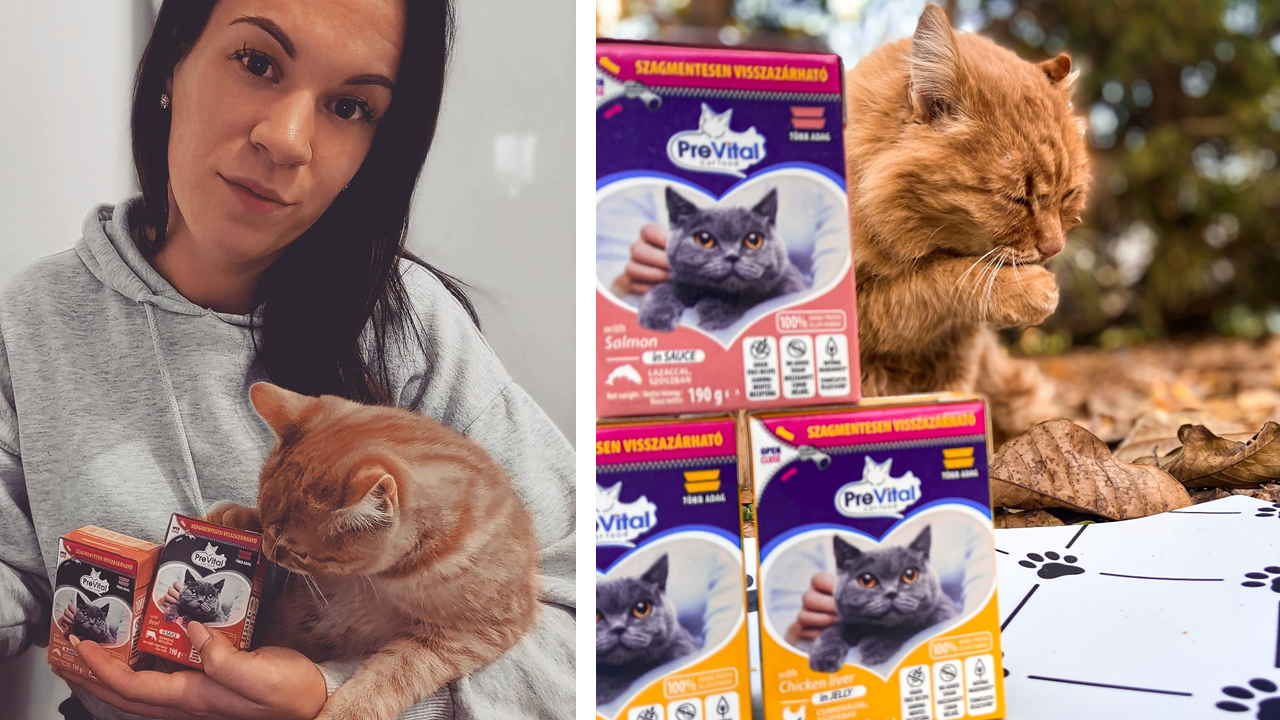  #previtalpillanatok a közösségi oldalainkon.