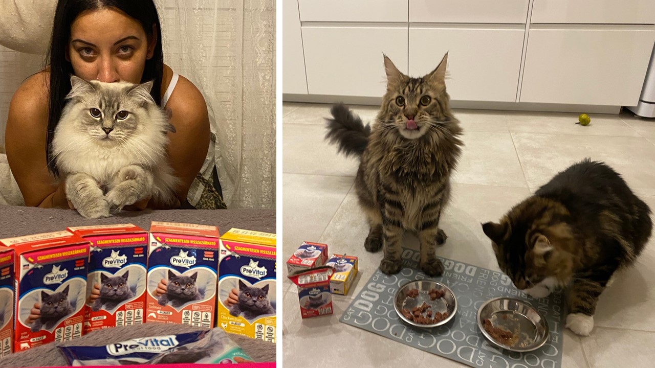  Hogyan örökítsük meg a #previtalpillanatokat?