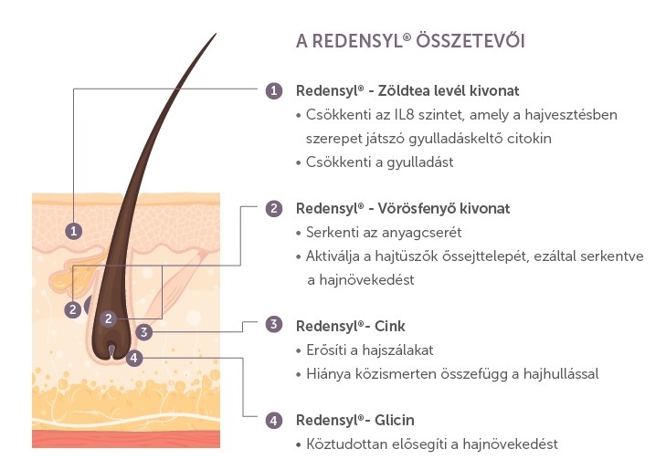 Mitől olyan hatékony a Revalid® Regrowth Serum?