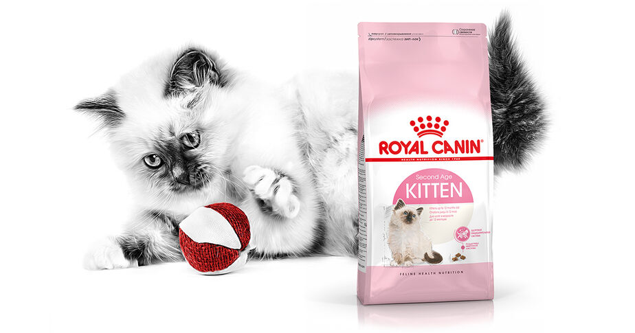 Royal Canin Kitten