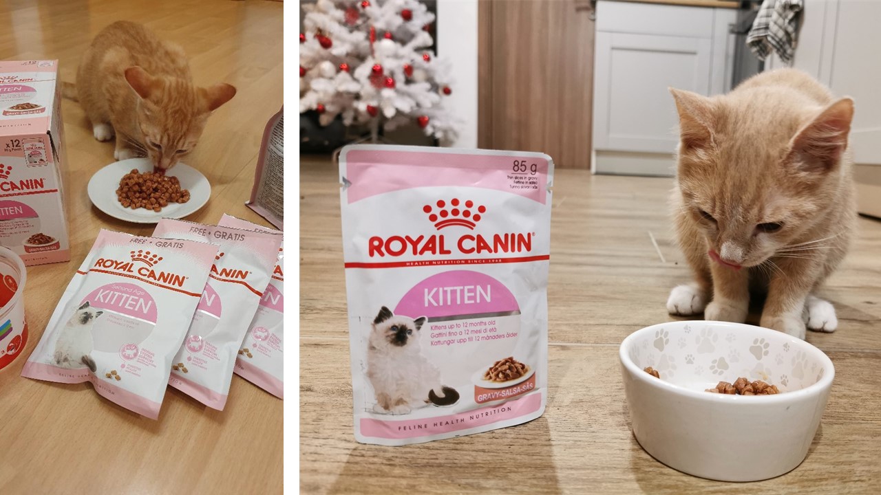  Közös projektünk legszebb pillanatai