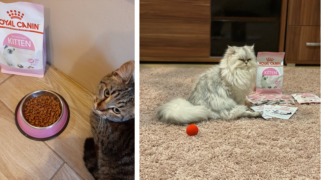  Közös projektünk legszebb pillanatai