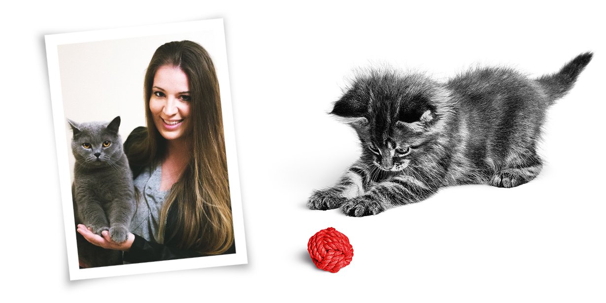  Üdvözlünk a Royal Canin Kitten projektünkben!