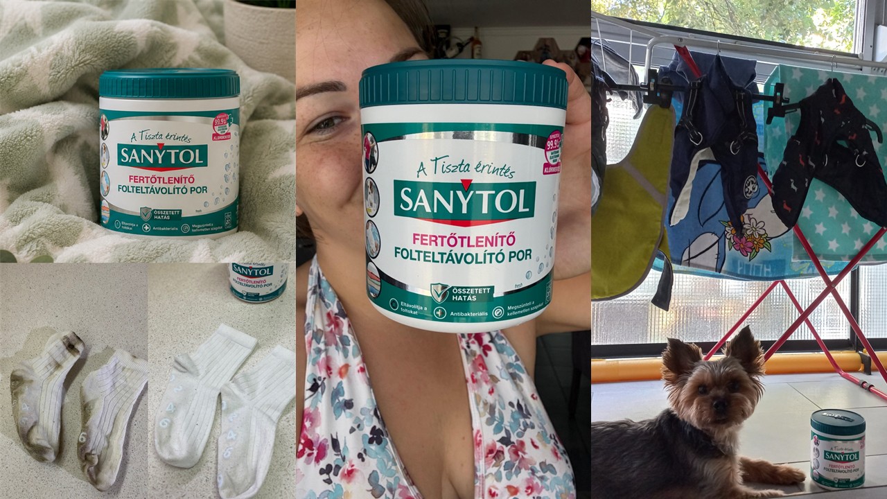 sanytolblog