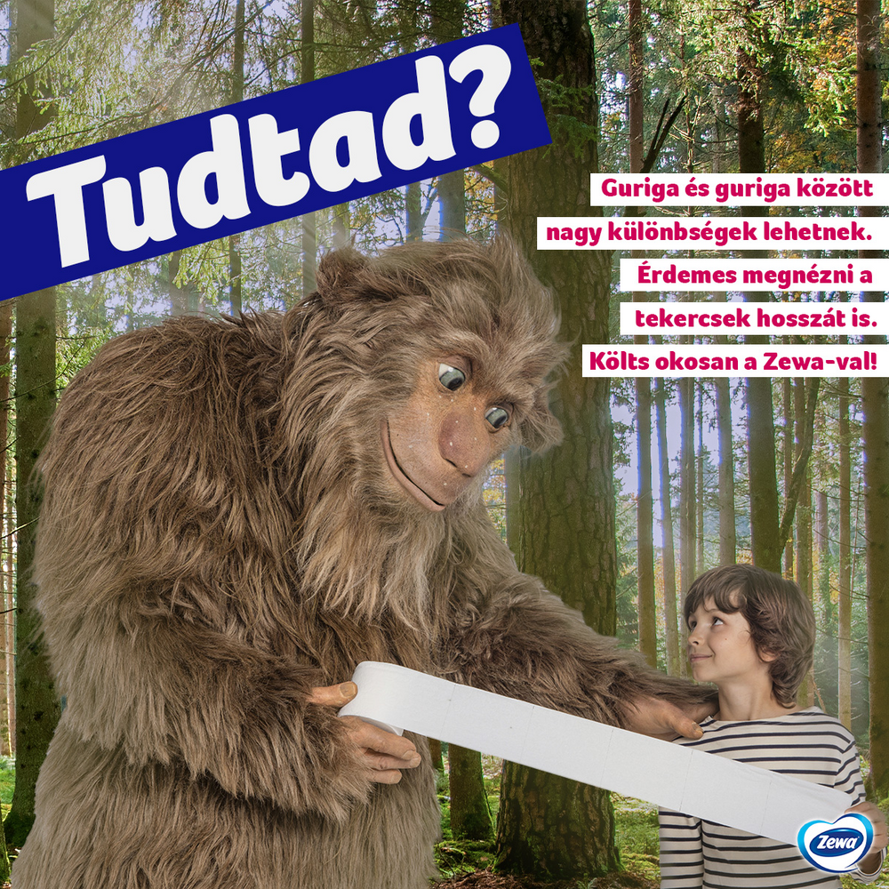 Zewa Deluxe | Költ okosan sablon 1