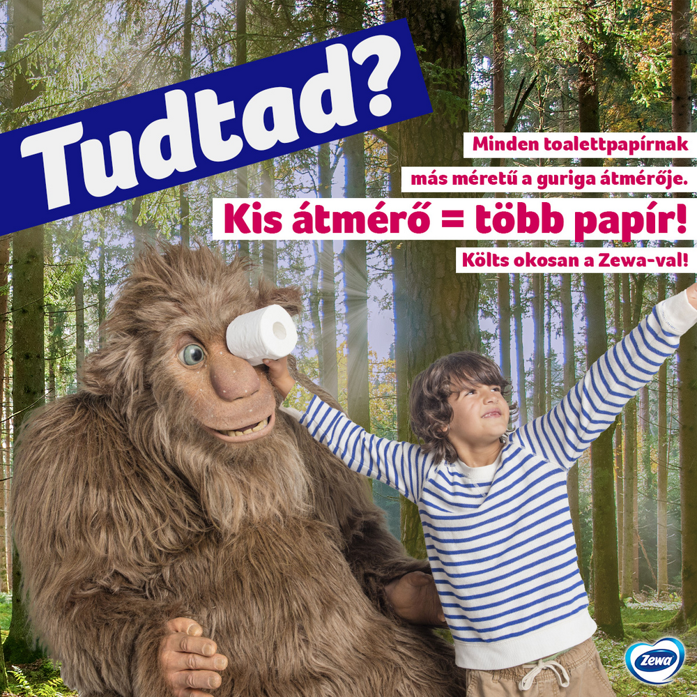 Zewa Deluxe | Költ okosan sablon 2