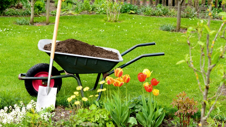 Prendersi cura del giardino anche nei mesi invernali è importante.