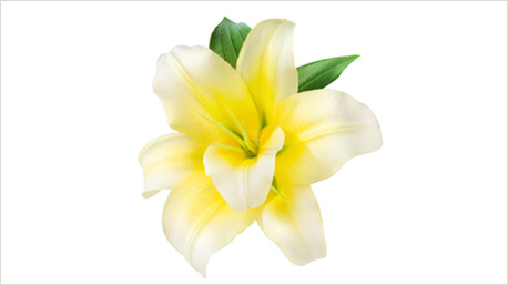 indovinello di settembre