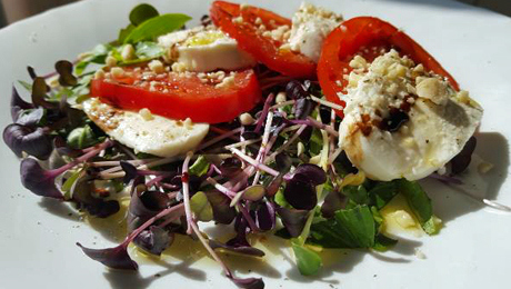 Caprese 2.0 con micro ortaggi di ravanello