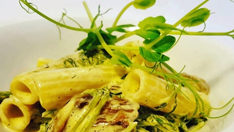 Maccheroni con micro ortaggi di piselli, funghi del Trentino, panna di riso biologica e zafferano padano