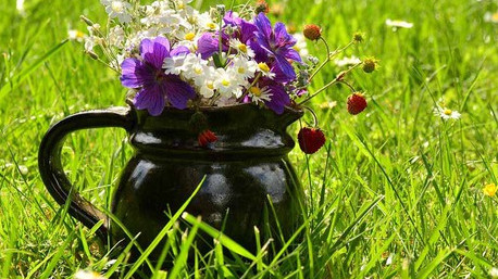 Un mazzo di fiori campagnoli è perfetto per la mamma e gli amici. 