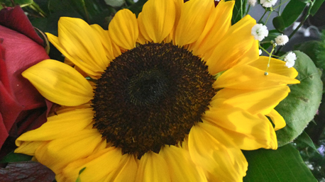 Foto scattata da trnder frako78