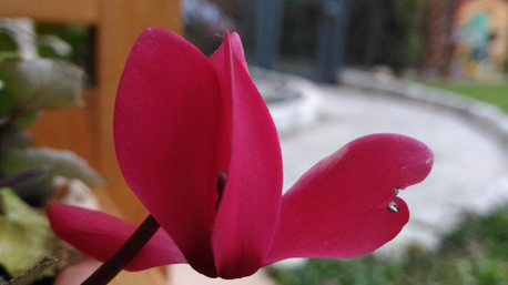 Foto inviata da trnder dadabres