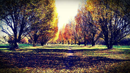 Foto inviata da trnder DINOBRICOLAGE