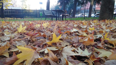 Foto fatta con ASUS ZenPad da trnder ARCOBALENO82