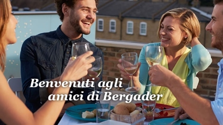 amici di bergader