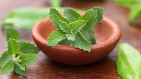 Stevia Dietorelle