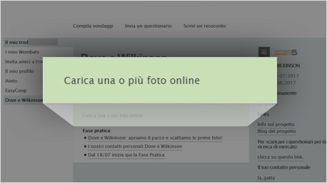 come dare feedback su dove e wlkinson