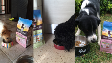 Foto inviate da Vania---, valugadazu, tequilaalessia.