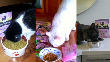 Foto inviate da geminihome, lella071, acrobatica.