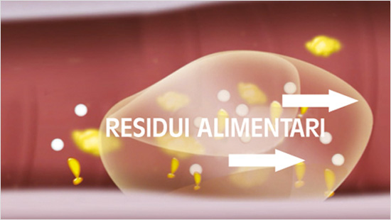 Metamucil infatti favorisce la regolarità intestinale, facilita il metabolismo dei lipidi, modula l'assorbimento dei nutrienti e favorisce un'azione lenitiva del sistema digerente…