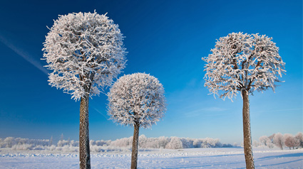 Beautiful Monday: de mooiste foto's van National Geographic 2011