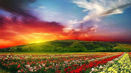 De Bloemenvallei (India)