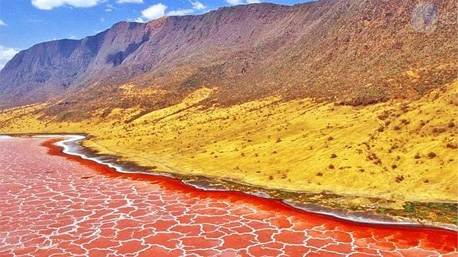 Het Natronmeer (Tanzania)