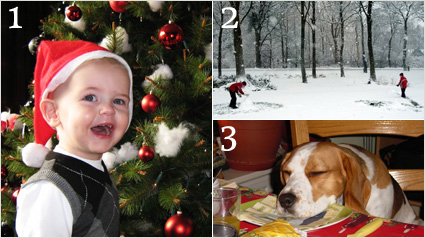 De genomineerden voor de leukste kerstfoto zijn?