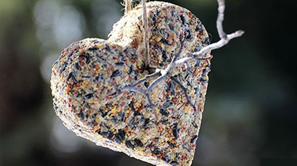 vogelvoertaartje-png