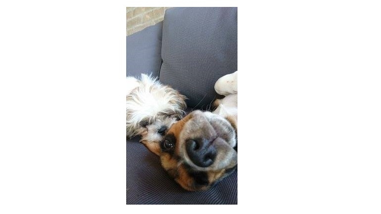 Even relaxen, denken Bonnie en Clyde van trnd-partner Jurgen050404.