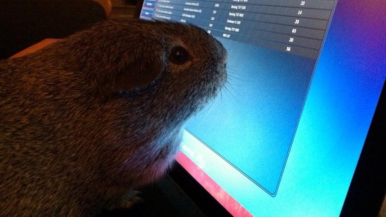 De cavia van trnd-partner Sanneke250 boekt een reisje!