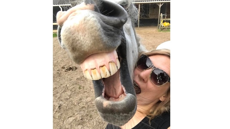 Het paard van trnd-partner Silvana- poseert graag voor een selfie!