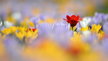 Doe mee met het lente onderzoek