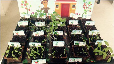 moestuin_bewerkt-1-jpg