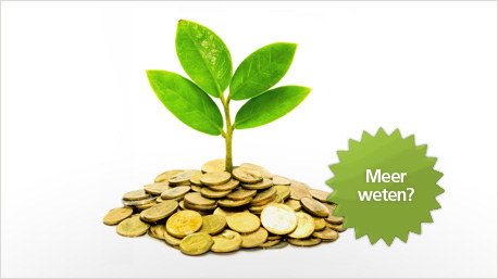 Klik hier om naar het projectblog te gaan!