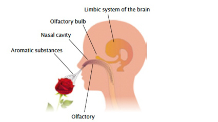 Wij zijn de Ambi Pur experts! Gebruik die kennis om met elkaar over de 3volution te praten!