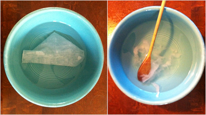 Edet vochtig toiletpapier