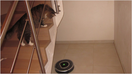 iRobot Roomba schone vloer