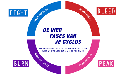 De 4 fases van onze cyclus