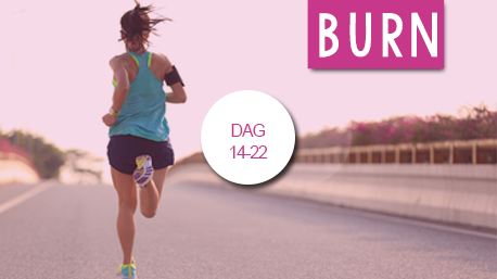 Burn - Vet verbranden