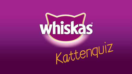 Klik snel verder voor de vragen! De antwoorden vind je op de laatste slide.