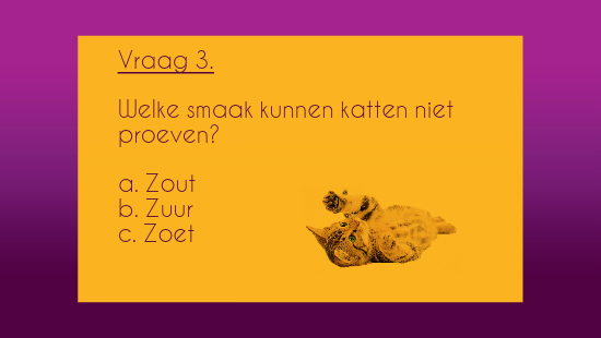 Geef je antwoord op vraag 1 t/m 6 door in de reacties onderaan het blog.