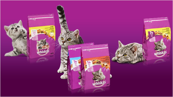 In dit trnd-project proberen wij samen met onze katten Whiskas brokjes uit! Whiskas werkt ...