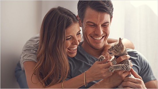 ... gaan we met 3.000 trnd-partners en hun katten Whiskas brokjes uitproberen en bekendmaken bij andere kattenbaasjes. Doe je ook mee?