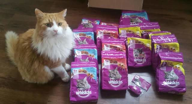 Whiskas pakket